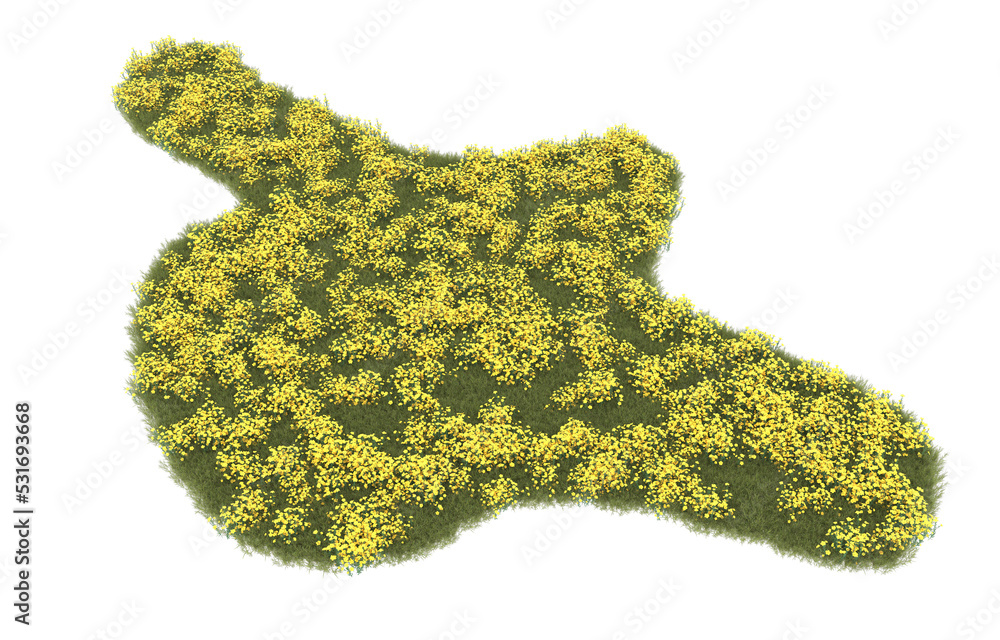 Fototapeta premium Grass on transparent background. 3d rendering - illustration