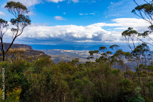 シドニー郊外のブルーマウンテンズで見た、森と青空に浮かぶ雲 © 和紀 神谷