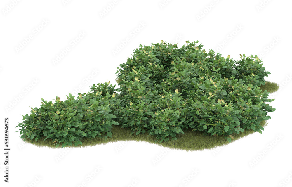 Grass on transparent background. 3d rendering - illustration