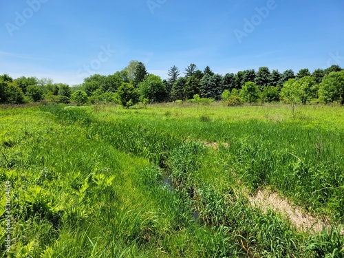 Fallow field, wetland and stream photo