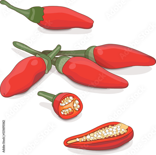 Whole, half, and quarter of Peri peri chili peppers. Piri Piri. Piripiri. Pili pili. Bird's eye peppers. Siling labuyo. Vegetables. Cartoon style. Vector illustration isolated on white background.