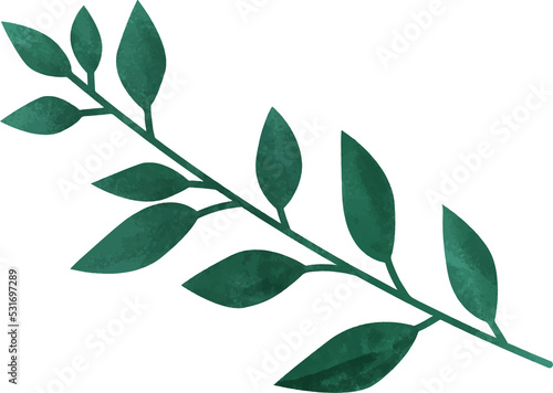 branch of green leaves