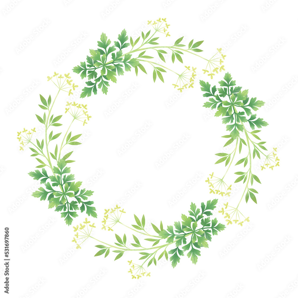 Circular frame of botanical illustration. Circular frame of botanical illustration.