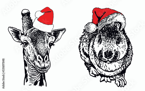 Graphical portrait of giraffe  and bnny sitting in Santa Claus hats isolated on white background,vector new year illustration  photo