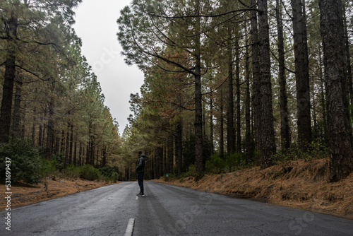 boy with green jacket in the middle of a road surrounded by pine trees in la palma, canary islands