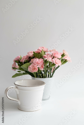 Close up Blooming mini Carnation Flowers on White background
