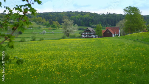 Blick auf einen Bauernhof im Frühling in einer Heckengäulandschaft