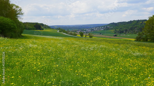 Blick auf Calw-Stammheim an einem Frühlingstag mit einer Blumenwiese im Vordergrund