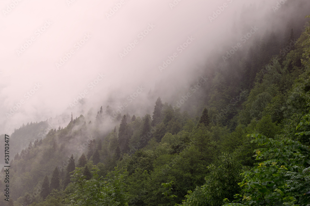 Mountain lake in the fog Mountain lake in the fog