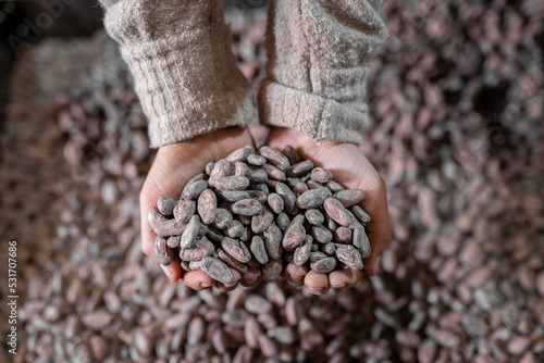 Crop woman showing roasted cocoa beans