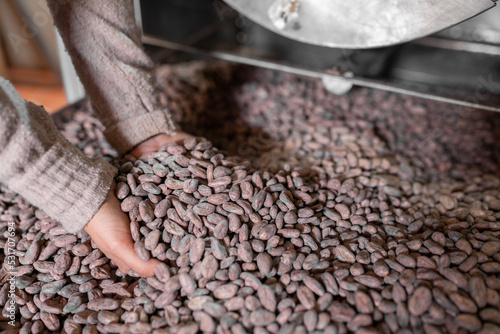 Crop woman showing roasted cocoa beans photo