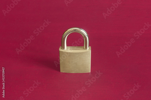 Two golden keys are joined by a metal ring on a colorful studio background. Security and guaranty concept.