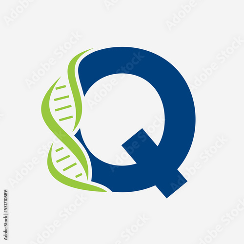 Initial DNA Logo On Letter Q Vector Template For Healthcare Sign