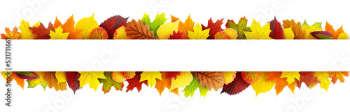 Colorful autumn leaves banner with copy space cut out