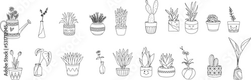 Houseplants. Plant outline drawing vector set, succulents in pots. Indoor exotic flowers with stems and leaves. Monstera, ficus, pothos, yucca, dracaena, cacti, snake plant for home and interior