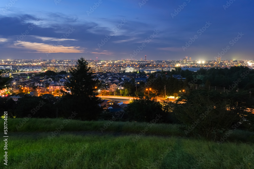 Fototapeta premium 東京都多摩市 聖蹟桜ヶ丘、桜ヶ丘公園、ゆうひの丘からの夜景
