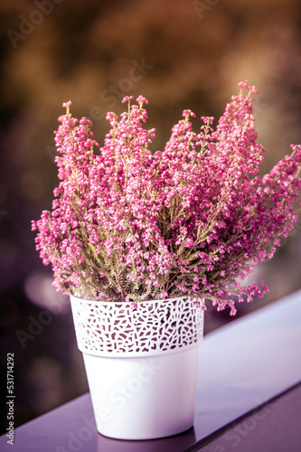 Pink heather in a white flower pot with a blurred background of autumnal color