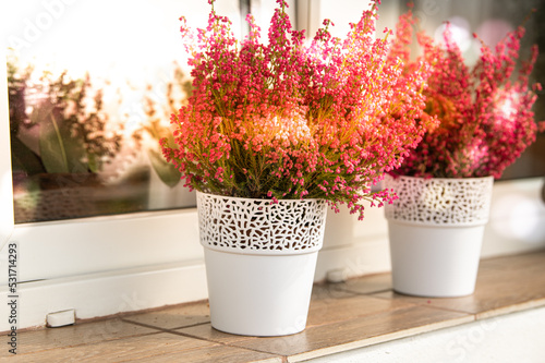 Heather in 2 white flower pots on a tiled window sill with a sunset reflection in the windows