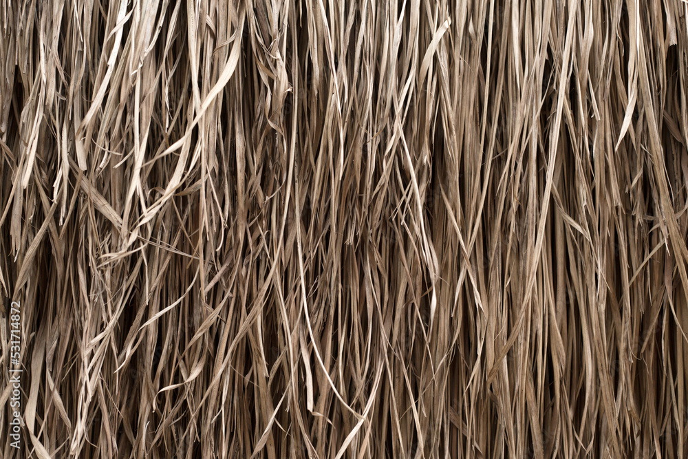 Straw texture. Tropic roof summer background. Straw texture. Tropic roof summer background.