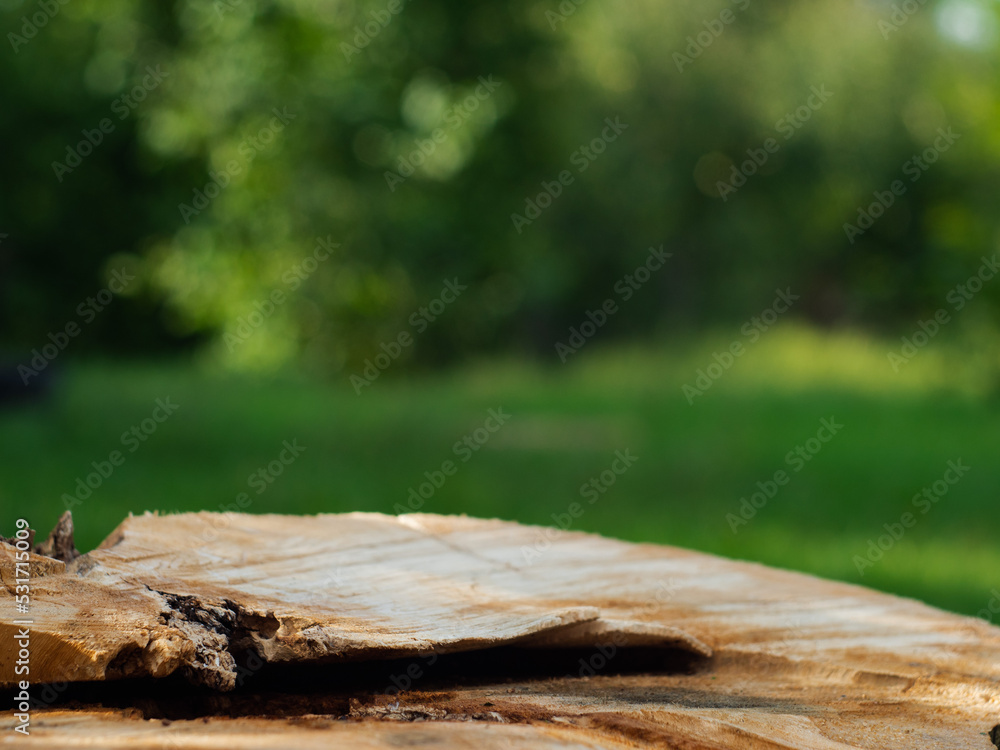 wooden table in the middle of the forest, a cut of a tree, a huge stump on a green background wooden table in the middle of the forest, a cut of a tree, a huge stump on a green background