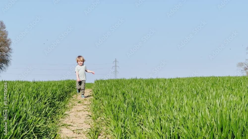 Little boy run smiling in the clear spring field Little boy run smiling in the clear spring field