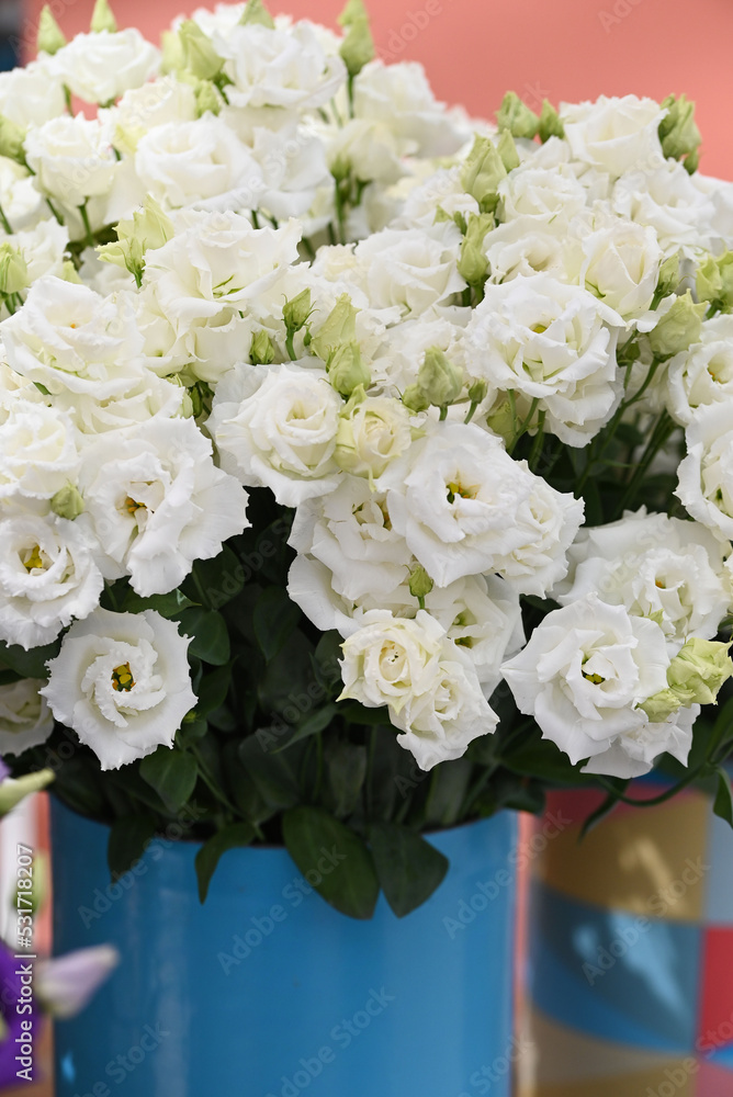 Lysianthus russellianum flowers, white in a blue bucket Lysianthus russellianum flowers, white in a blue bucket