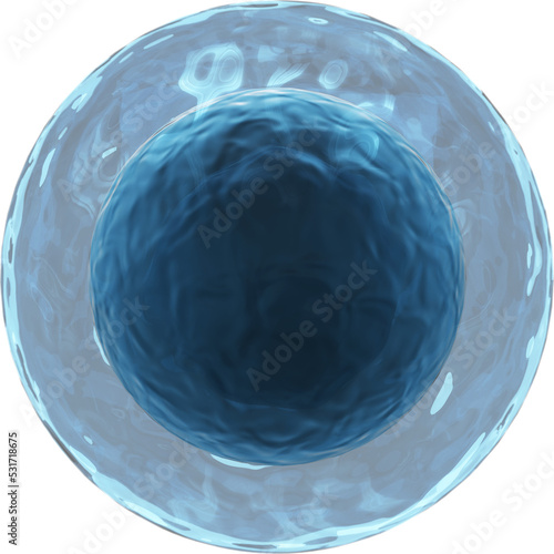 Image of 3d blue white blood cell lymphocyte with translucent membrane photo