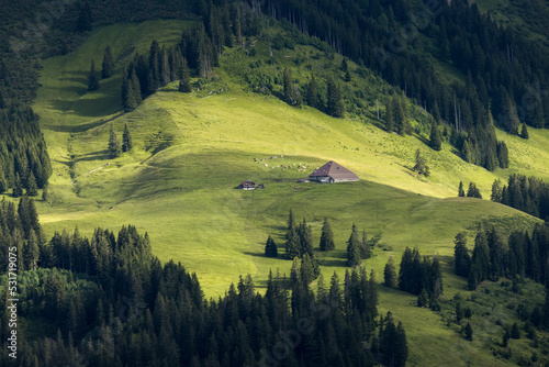 remote alpine farm hut in the Bernese Alps