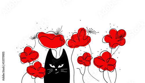 kot w polnych, czerwonych kwiatach maku
