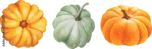 watercolor autumn set - pumpkins