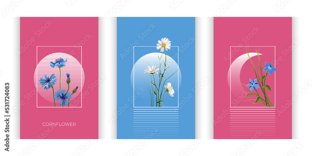 Beautiful set with floral elements. Nature art set for wedding invitations, or women's gifts. Design for packaging design, social media post, cover, and banner. Beautiful set with floral elements. Nature art set for wedding invitations, or women's gifts. Design for packaging design, social media post, cover, and banner.