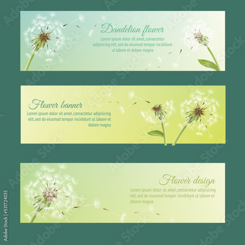 Collection of banners and ribbons with summer dandelion and pollens design elements isolated vector illustration