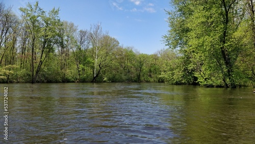 river in the forest