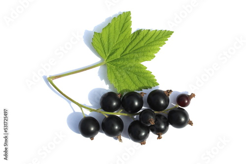 Background black ripe currant with green leaf lies on a white holographic background.