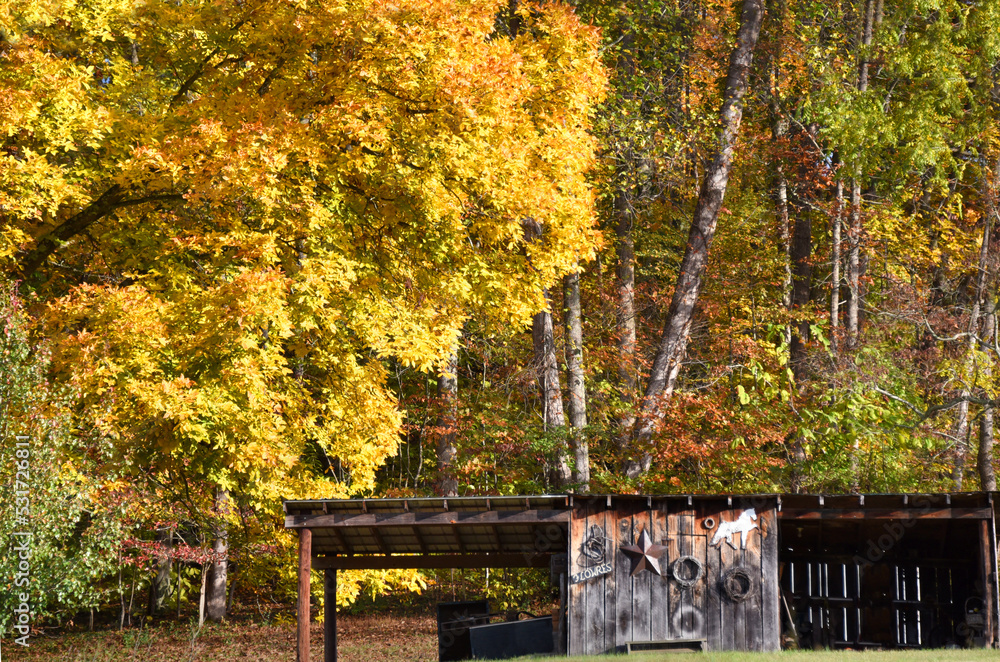 Country Shed backs up to the Appalachian Mountains Country Shed backs up to the Appalachian Mountains