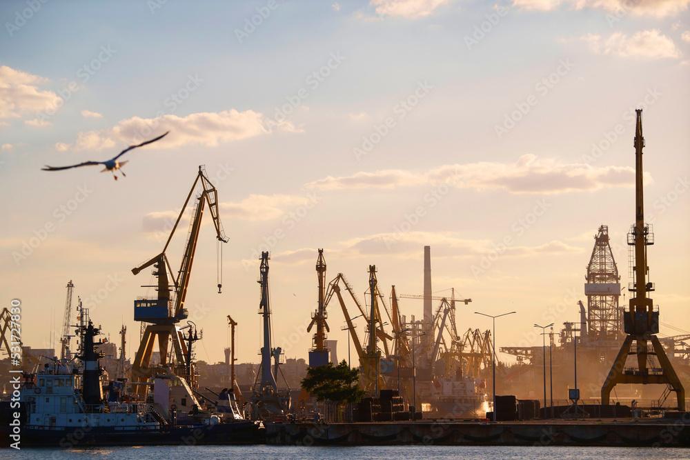 Obraz premium Container terminal, with cranes, in a commercial port