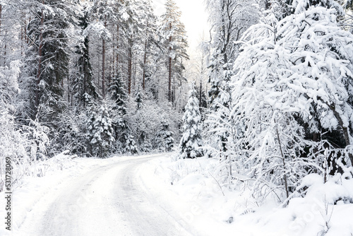 Snow covered road in the forest. Winter northern landscape. Atmosphere of the cold north
