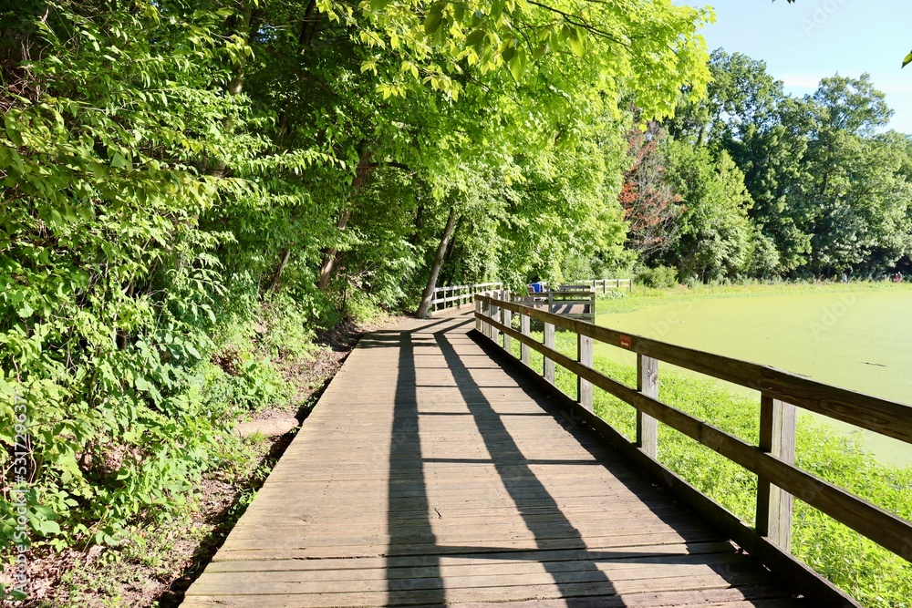 The boardwalk bridge on the pathway in the park.