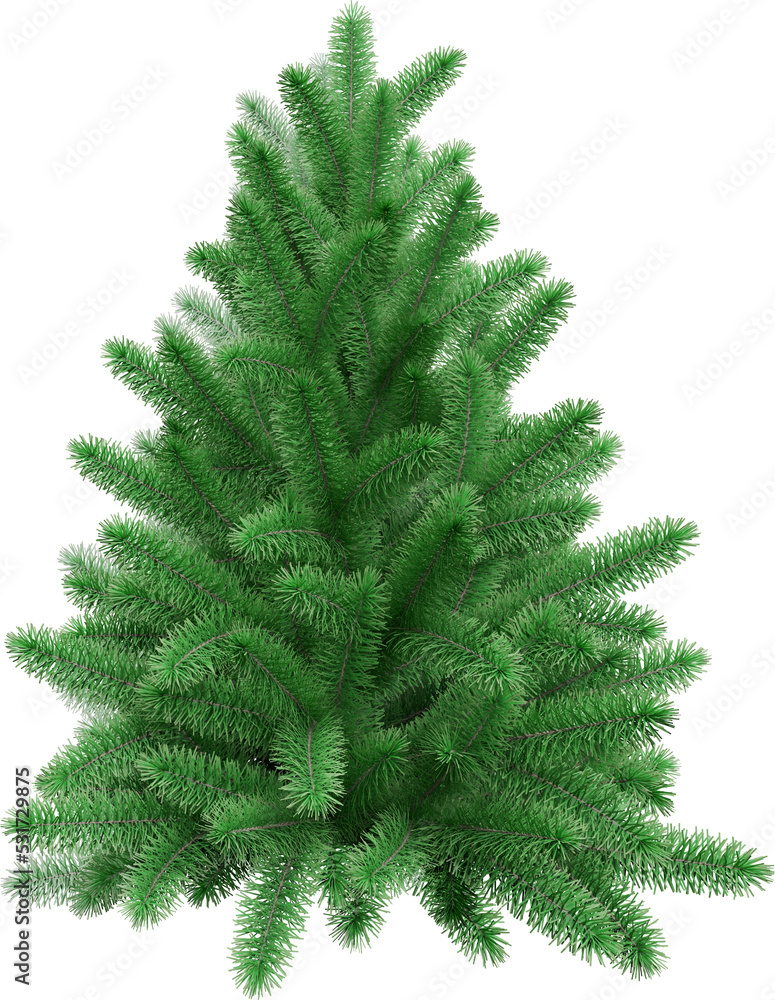 Green Christmas tree isolated