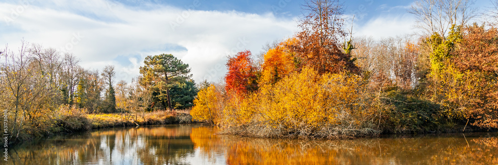 Autumnal landscape with a pond and multicolored trees