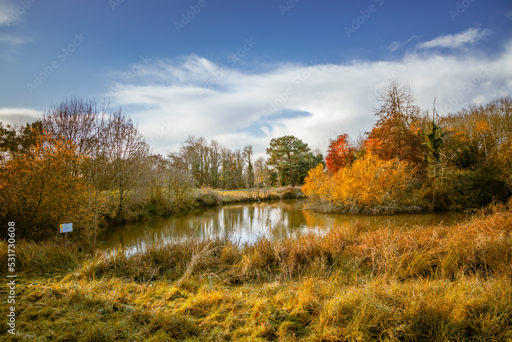 Autumnal landscape on a sunny day with a pond and multicolored trees in France