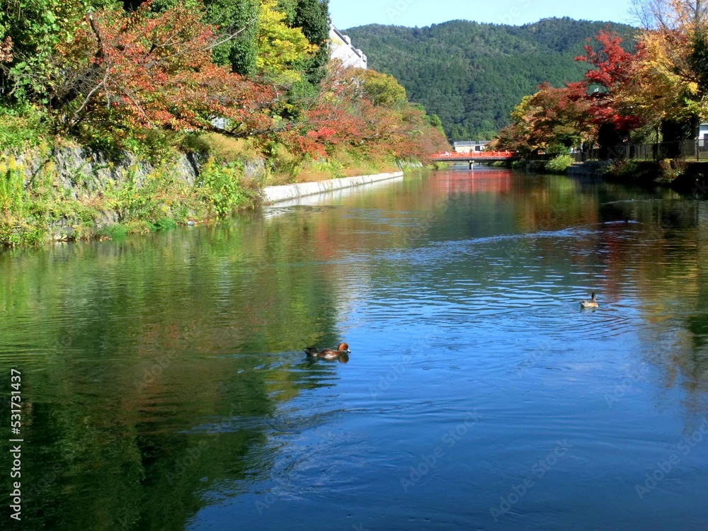 京都の秋・白川