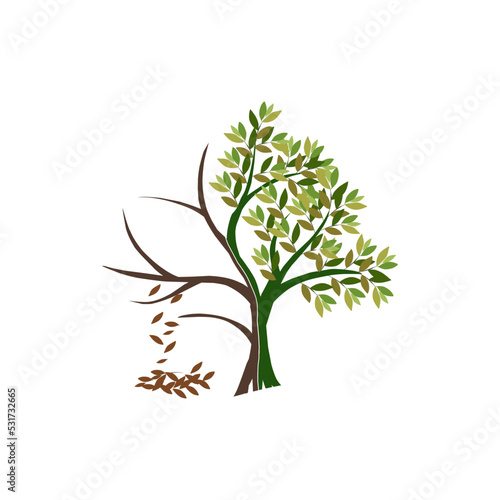Vector illustration of a tree with half dead and withered, tree bark, drought vector.