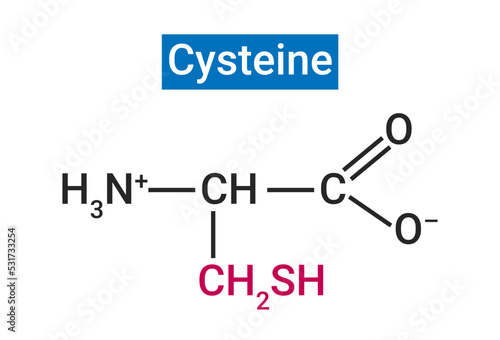 Cysteine is a non-essential amino acid important for making protein, and for other metabolic functions