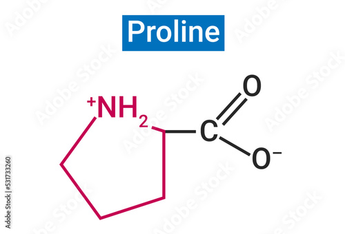 Proline is the only proteinogenic secondary amino acid which is a secondary amine