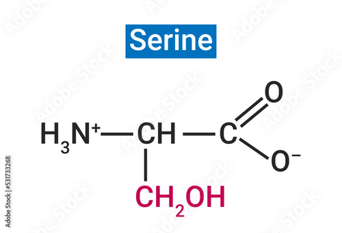 Serine is a non-essential amino acid in humans (synthesized by the body)