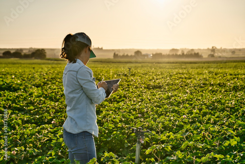 Smart farmer woman agronomist checks the field with tablet. Inteligent agriculture and digital agriculture. photo