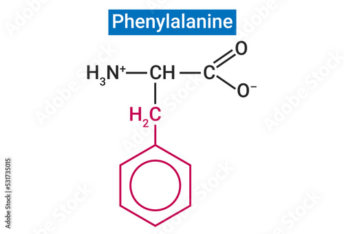 Phenylalanine can cause intellectual disabilities, brain damage, seizures and other problems in people with PKU