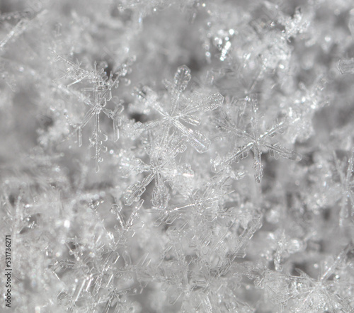 White snowflakes in winter as a background.