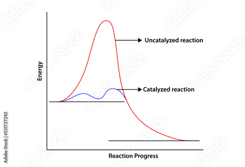 Energy of catalyzed and uncatalyzed reaction